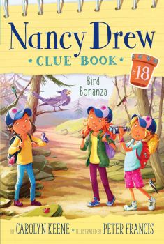 Nancy Drew Clue Book Cover Art