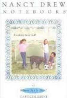 Nancy Drew Notebooks Cover Art 17b